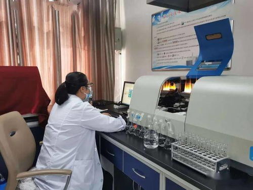 民樂縣水務(wù)局強(qiáng)化行業(yè)監(jiān)管，筑牢農(nóng)村飲水安全基石——聚焦集中式供水保障