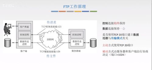 計算機網絡應用層核心技術 從C/S到P2P，從DNS到HTTP